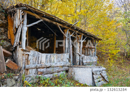 A dilapidated cabin with a wooden roof and a wooden door 132613284