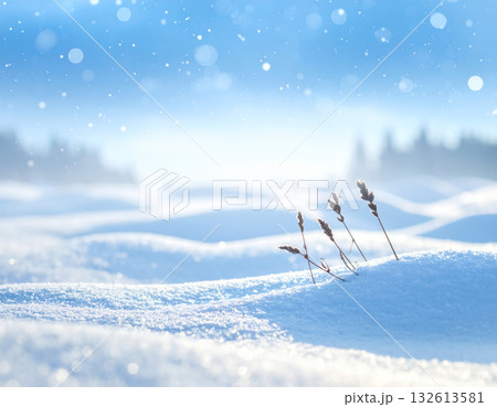 背景素材 冬 雪 背景素材 冬 雪 132613581