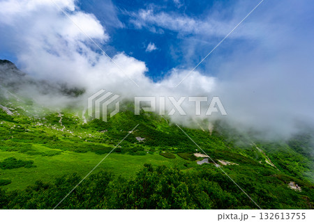8月の千畳敷カールの風景 132613755