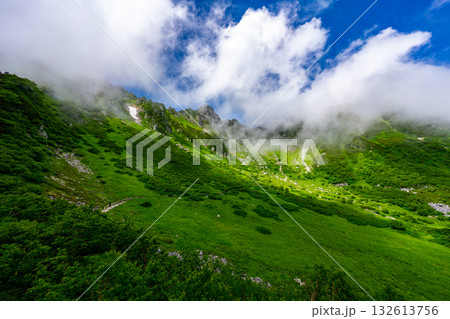 8月の千畳敷カールの風景 132613756