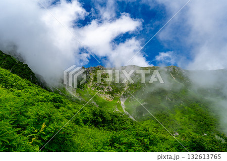 8月の千畳敷カールの風景 132613765