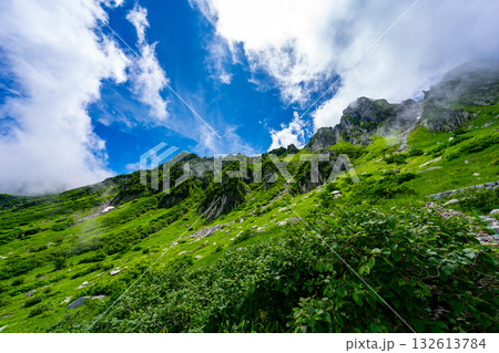 8月の千畳敷カールの風景 132613784