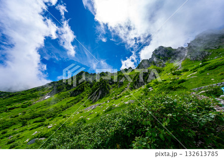 8月の千畳敷カールの風景 132613785