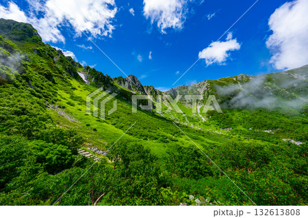8月の千畳敷カールの風景 132613808