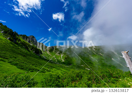 8月の千畳敷カールの風景 8月の千畳敷カールの風景 132613817