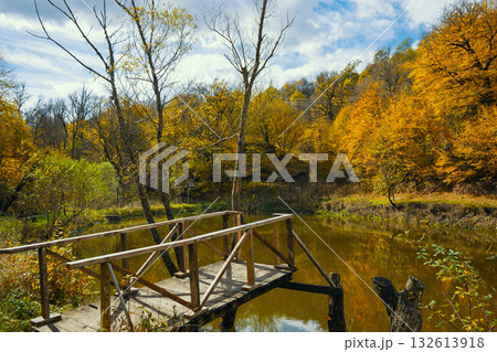 A wooden bridge spans a small pond in a forest A wooden bridge spans a small pond in a forest 132613918
