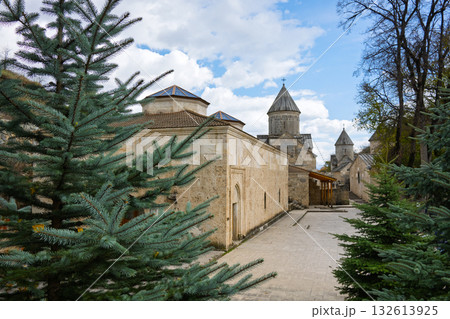 A street with a building in the background and a tree in front of it 132613925