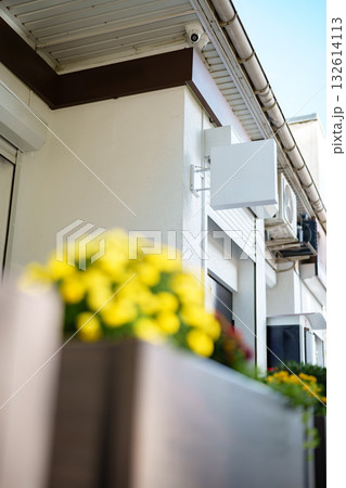 Bright yellow flowers in a planter near a building's exterior on a sunny day 132614113
