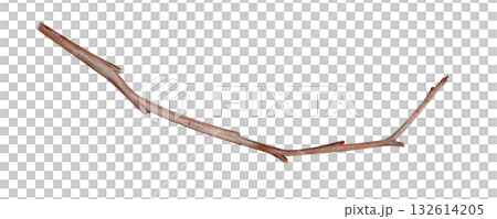 Watercolor cherry branch in winter in natural brown tones. Hand-painted clip art illustration isolated on white, perfect for spring design, floral decor, invitations, and Asian-inspired projects 132614205