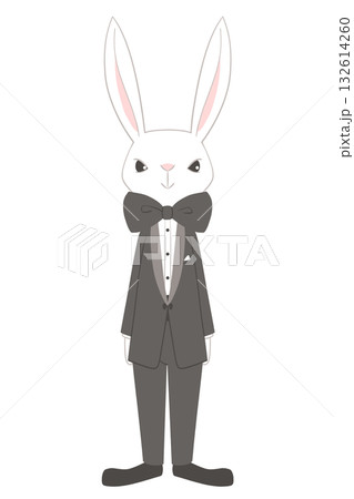 タキシード姿の兎のキャラクター全身イラスト タキシード姿の兎のキャラクター全身イラスト 132614260