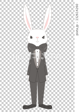 タキシード姿の兎のキャラクター全身イラスト タキシード姿の兎のキャラクター全身イラスト 132614260