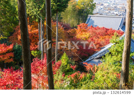 圓光寺の紅葉と京都の街並み 圓光寺の紅葉と京都の街並み 132614599
