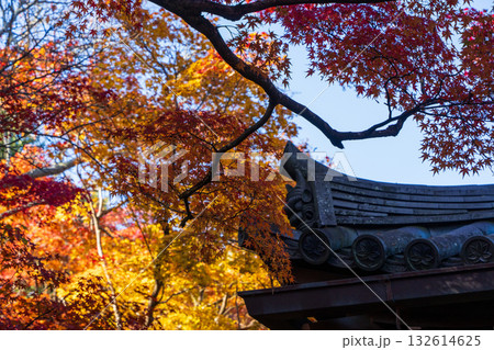 常寂光寺の屋根と紅葉 132614625
