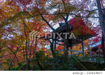 常寂光寺の紅葉に包まれた鐘楼 132614627