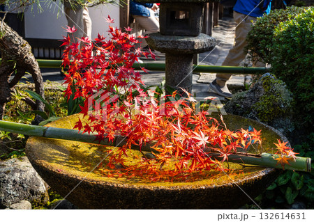 圓光寺の水鉢に映る紅葉 圓光寺の水鉢に映る紅葉 132614631