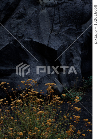 The texture of volcanic lava. Mount Etna. Sicily 132616059