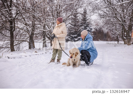 Elderly woman and her adult daughter walking with their Golden Retriever in a snowy park. The daughter kneels beside the dog while the mother stands nearby holding the leash, surrounded by trees 132616947