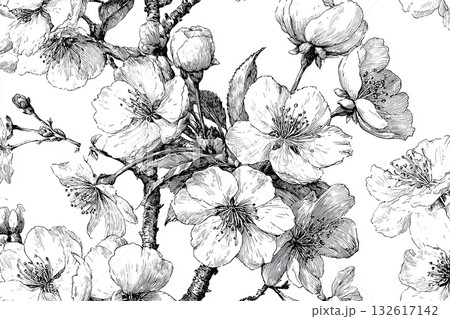 光と影の表現が美しい、白い背景に黒の線画が映える花のテクスチャ 132617142