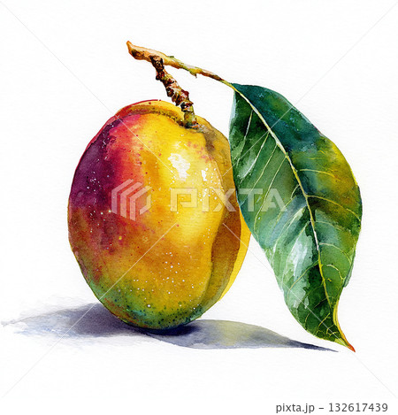 鮮やかな色彩で描かれた水彩のマンゴー 132617439