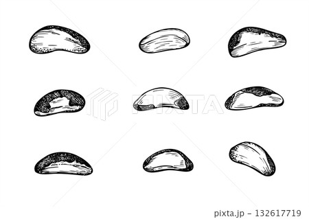 Hand drawn Brazil nut set monochrome vector black and white illustration. Healthy peeled nuts realistic graphic sketch. Raw ingredients for food packaging, cookbooks, health blogs, website design Hand drawn Brazil nut set monochrome vector black and white illustration. Healthy peeled nuts realistic graphic sketch. Raw ingredients for food packaging, cookbooks, health blogs, website design 132617719