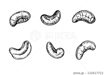 Cashew nuts set monochrome vector isolated line art black ink sketch. Healthy peeled kernel illustration. Exotic healthy superfood for packaging, for fitness website designs, culinary posters 132617722