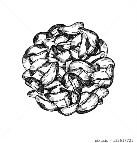 Monochrome Brazil nut round pile vector isolated illustration. Hand drawn peeled nuts realistic graphic round composition. Top view. Etching drawing of fresh organic healthy food for menu design 132617723
