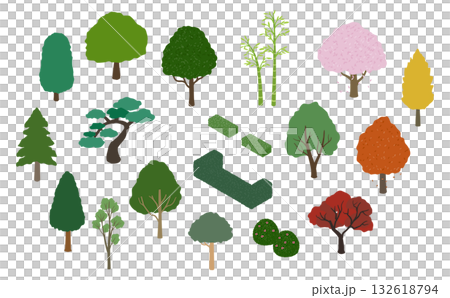 Isometric illustrations: various trees and shrubs 132618794