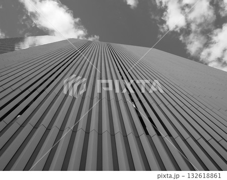 東京の高層ビルと空が映える都市風景写真 132618861