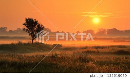 Golden sunrise over vast fields and lone tree in calm morning atmosphere 132619080