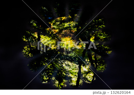 虎渓山永保寺境内の景色 虎渓山永保寺境内の景色 132620164