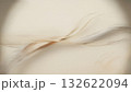 Abstract Swirls of Beige and Brown Fibers on Light soft clean background image photo 132622094