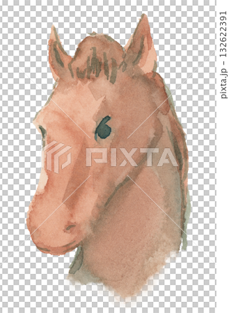 Watercolor horse illustration Watercolor horse illustration 132622391