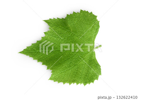 Grape leaf isolated on white background. Top view. Flat lay Grape leaf isolated on white background. Top view. Flat lay 132622410