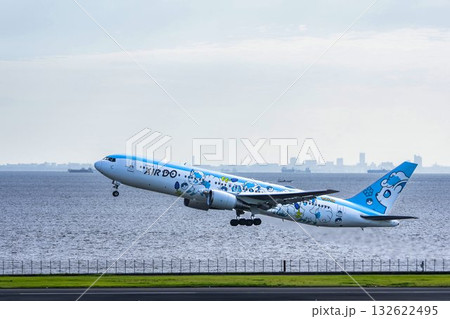 羽田空港の風景　離陸中の飛行機　東京都大田区 132622495