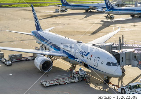 羽田空港の風景　駐機中の飛行機　東京都大田区 132622608