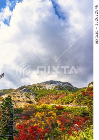 秋の磐梯吾妻スカイライン　紅葉　福島県福島市 132622946