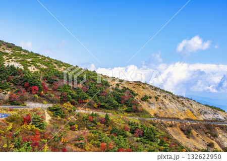秋の磐梯吾妻スカイライン　紅葉　福島県福島市 132622950