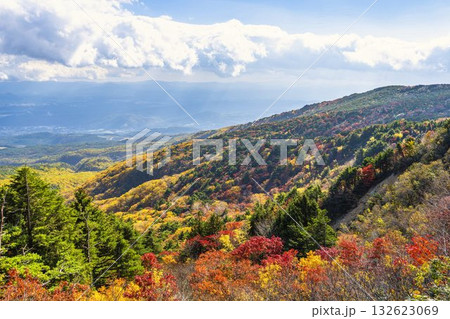 秋の磐梯吾妻スカイライン 紅葉 福島県福島市 秋の磐梯吾妻スカイライン 紅葉 福島県福島市 132623069
