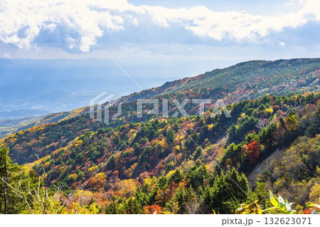 秋の磐梯吾妻スカイライン　紅葉　福島県福島市 132623071