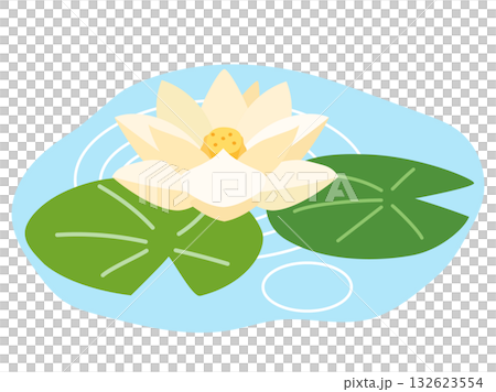 Illustration of white water lilies floating in a pond 132623554