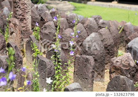 爽やか　桔梗の花　石仏 132623796