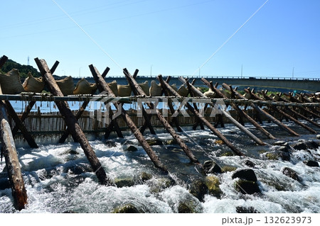 晩秋のアユやな 132623973