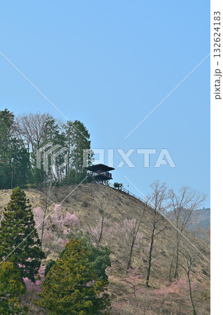 花桃の里　展望台　早春の風景　東秩父村 132624183