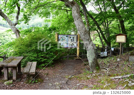 日光市川治温泉 あじさい公園散策路と川治温泉案内板 日光市川治温泉 あじさい公園散策路と川治温泉案内板 132625000