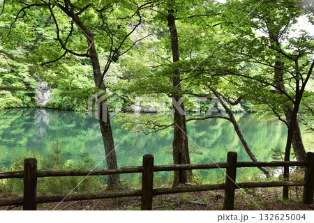 日光市川治温泉　あじさい公園散策路と鬼怒川 132625004