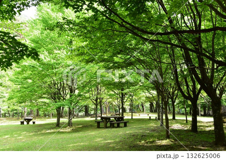 日光市川治温泉 あじさい公園散策路と休憩スペース 日光市川治温泉 あじさい公園散策路と休憩スペース 132625006