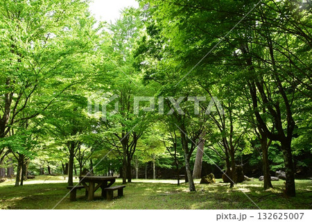 日光市川治温泉 あじさい公園散策路と休憩スペース 日光市川治温泉 あじさい公園散策路と休憩スペース 132625007