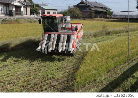水稲の再生二期作 水稲の再生二期作 132625056