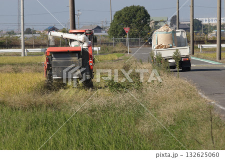 水稲の再生二期作 132625060