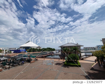 YOKOHAMA「横浜八景島シーパラダイス」 132625077